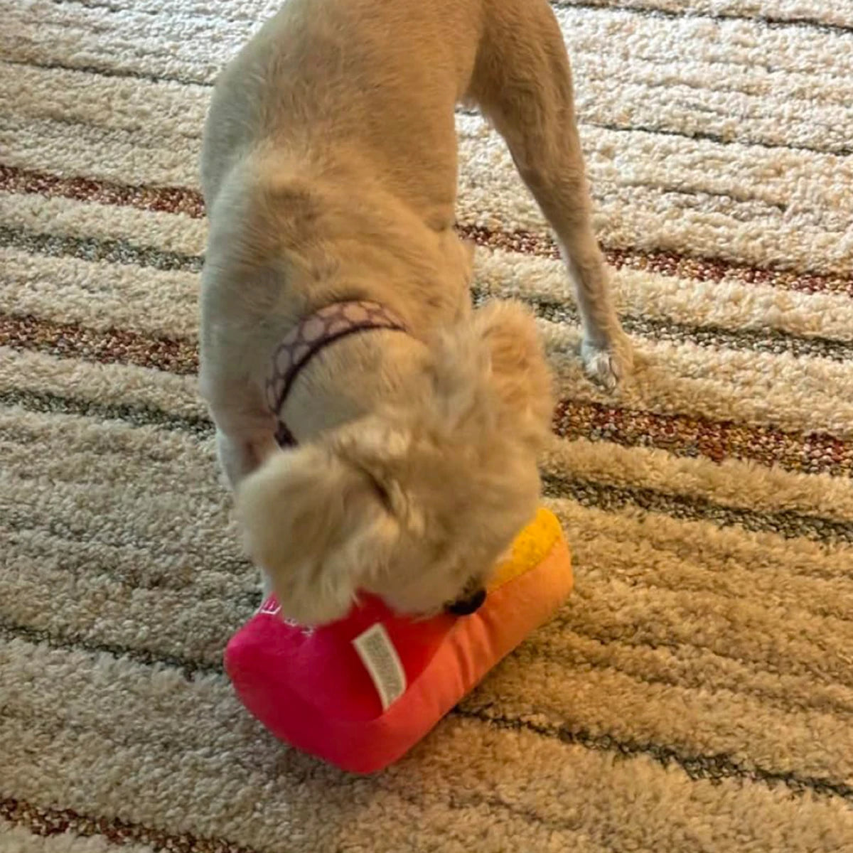 ELFBARK Dog Toy