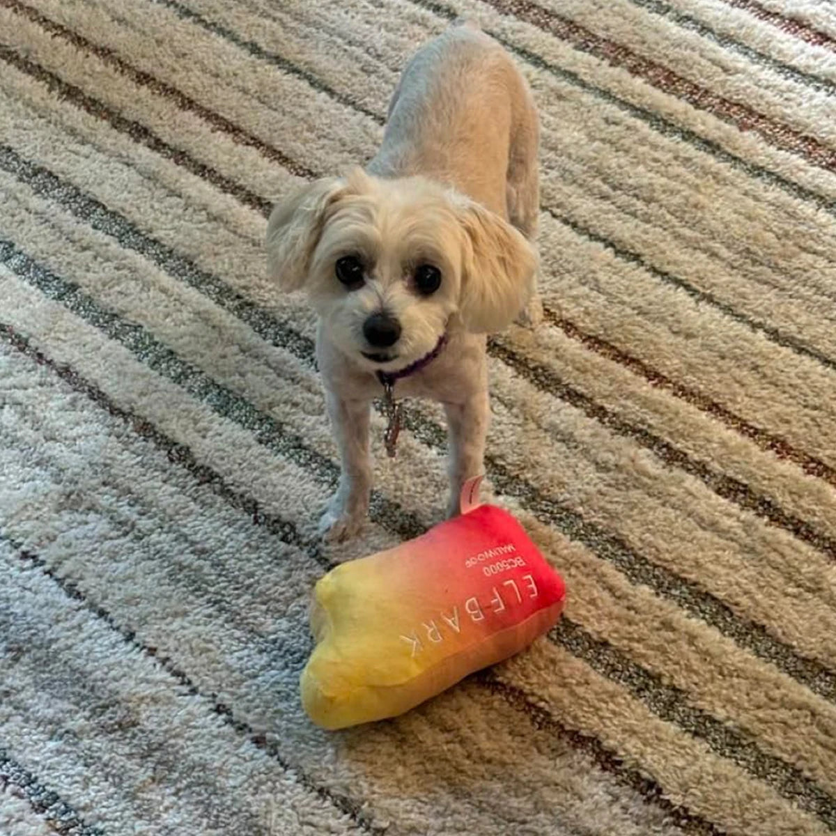 ELFBARK Dog Toy