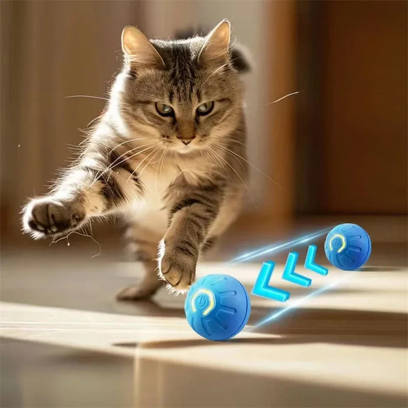 Interactive Smart Dog Toy Ball